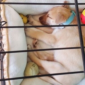 Meet your Posher, Herlinda